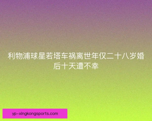 利物浦球星若塔车祸离世年仅二十八岁婚后十天遭不幸 利物浦球星若塔车祸离世年仅二十八岁婚后十天遭不幸